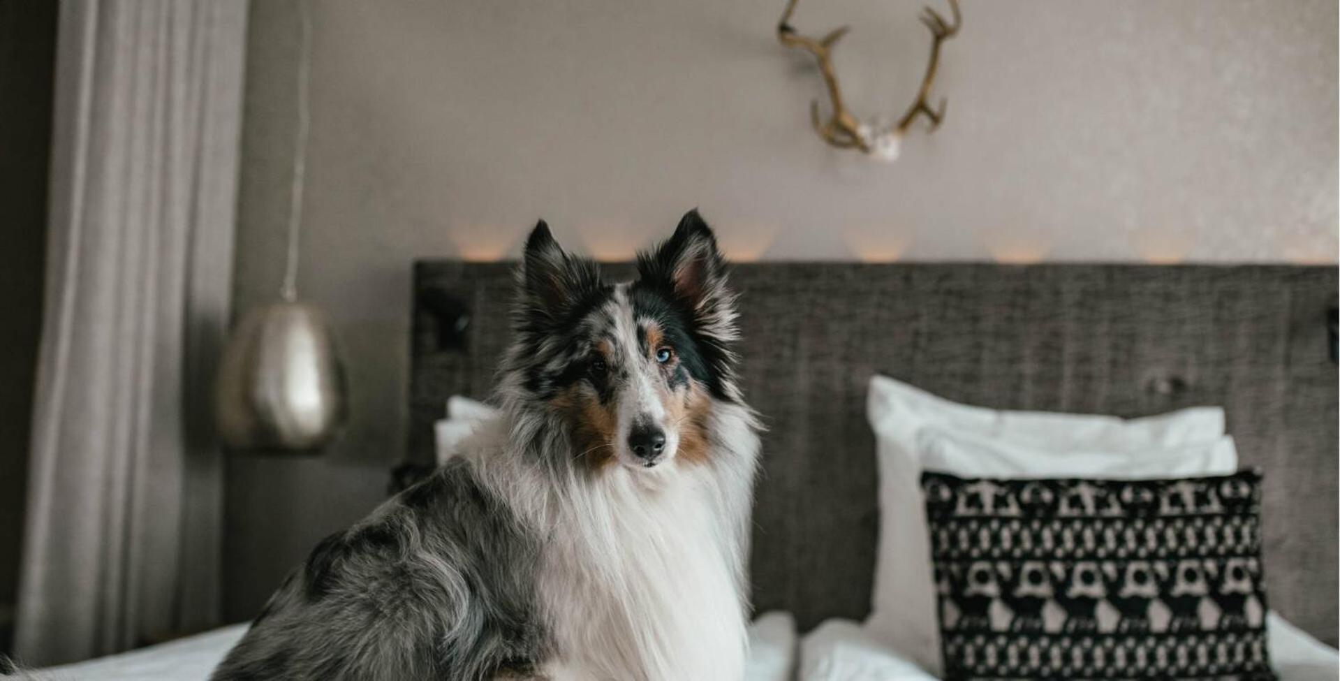 Lapland Hotels Bulevardi Helsinki Esterno foto